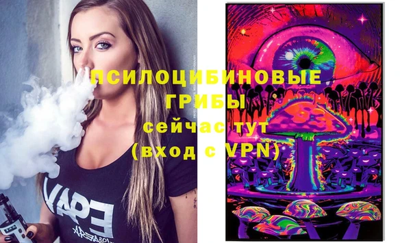 винт Армянск