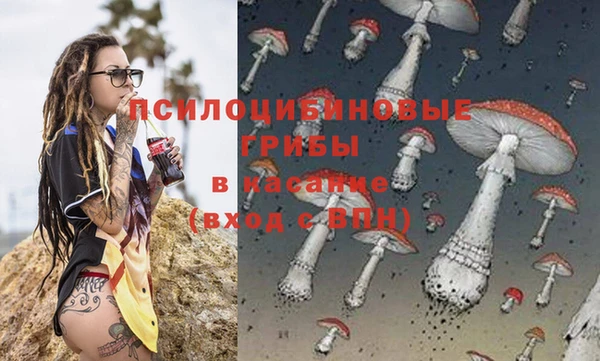 винт Армянск