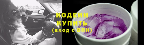 дурь Арсеньев